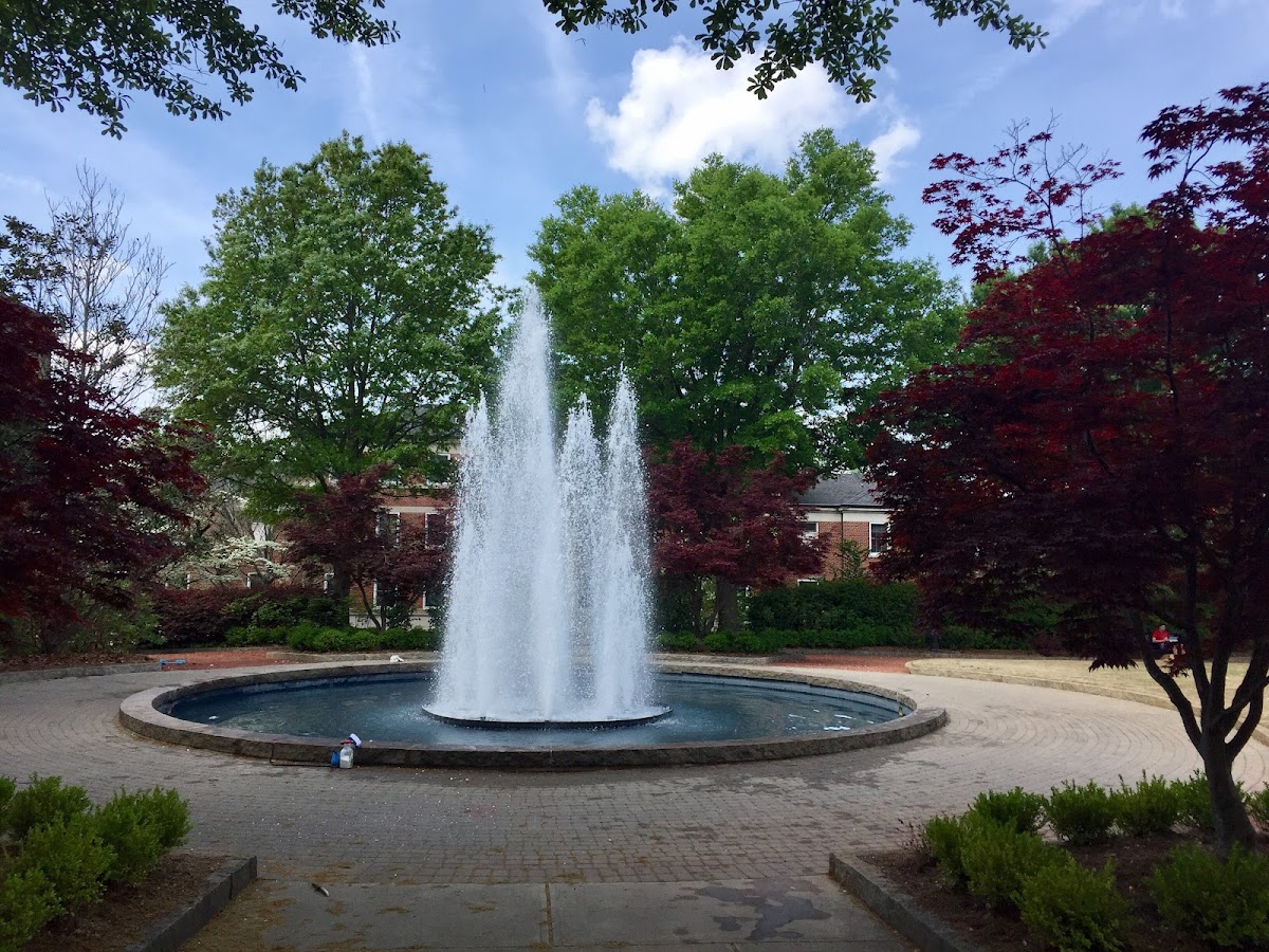 University of Georgia photo 6