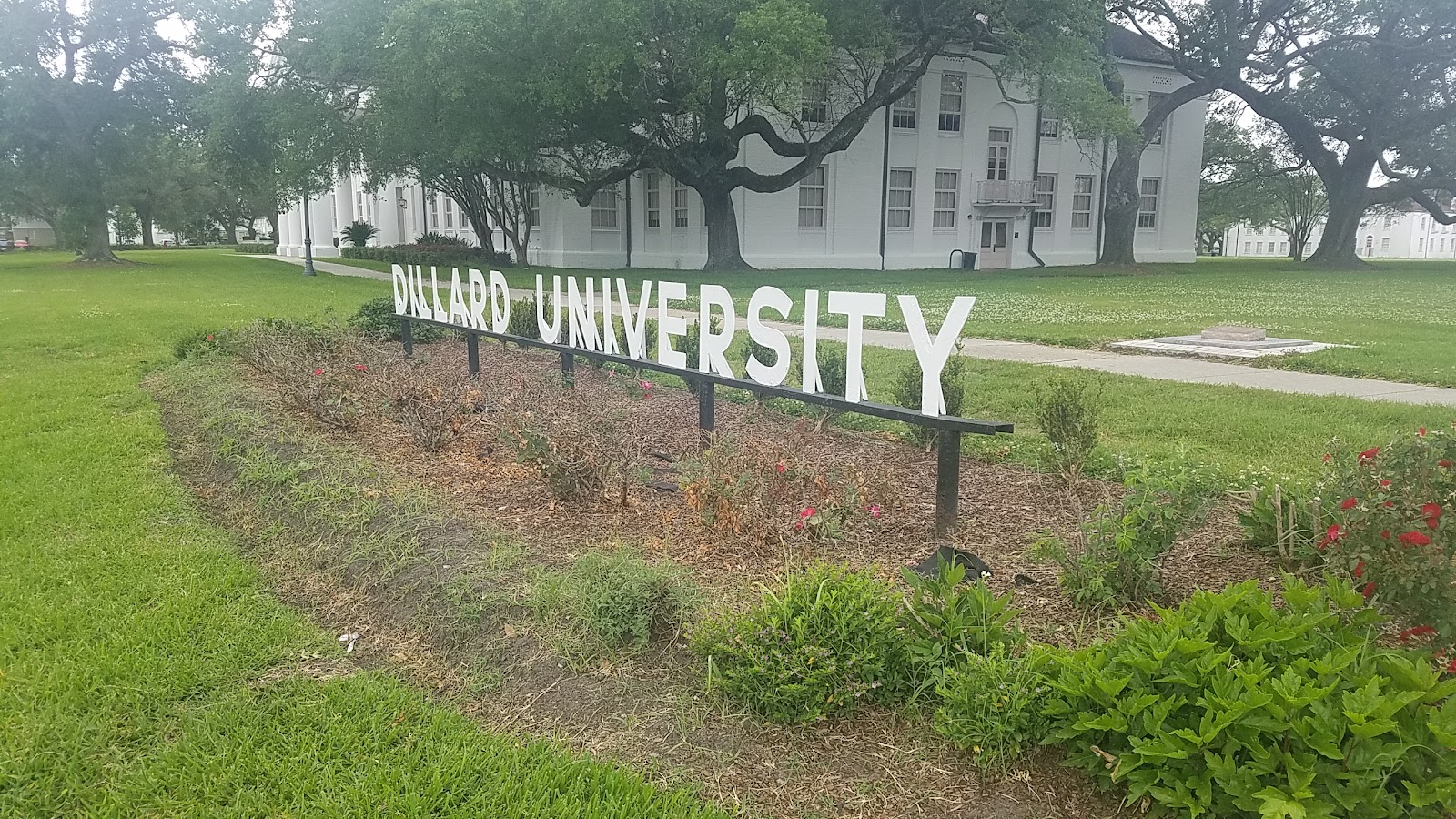 Dillard University