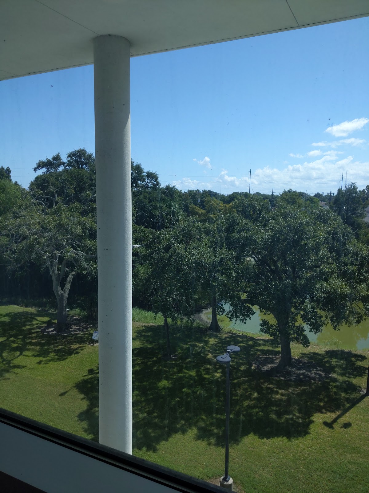 Dillard University photo 6