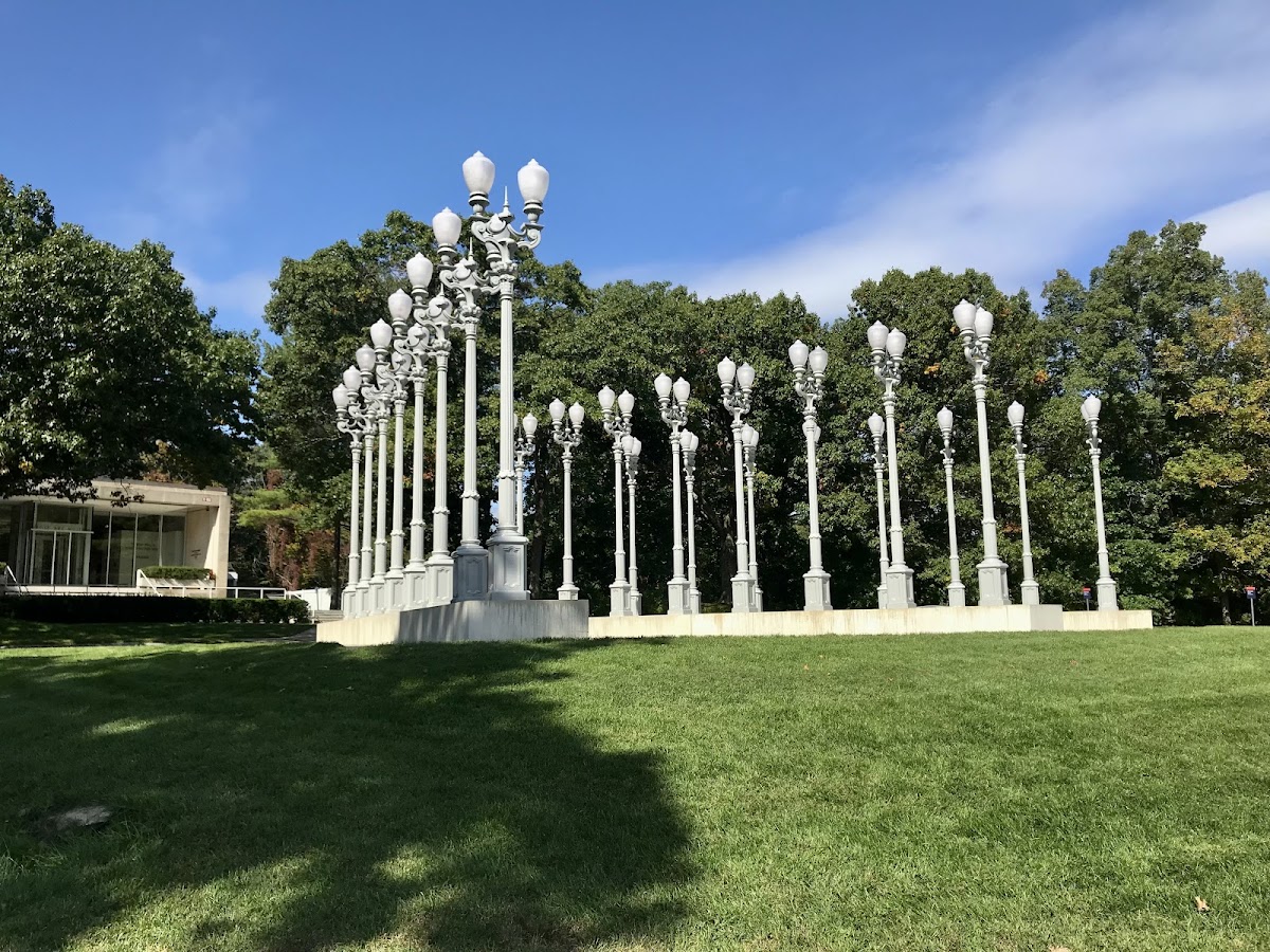 Brandeis University photo 6