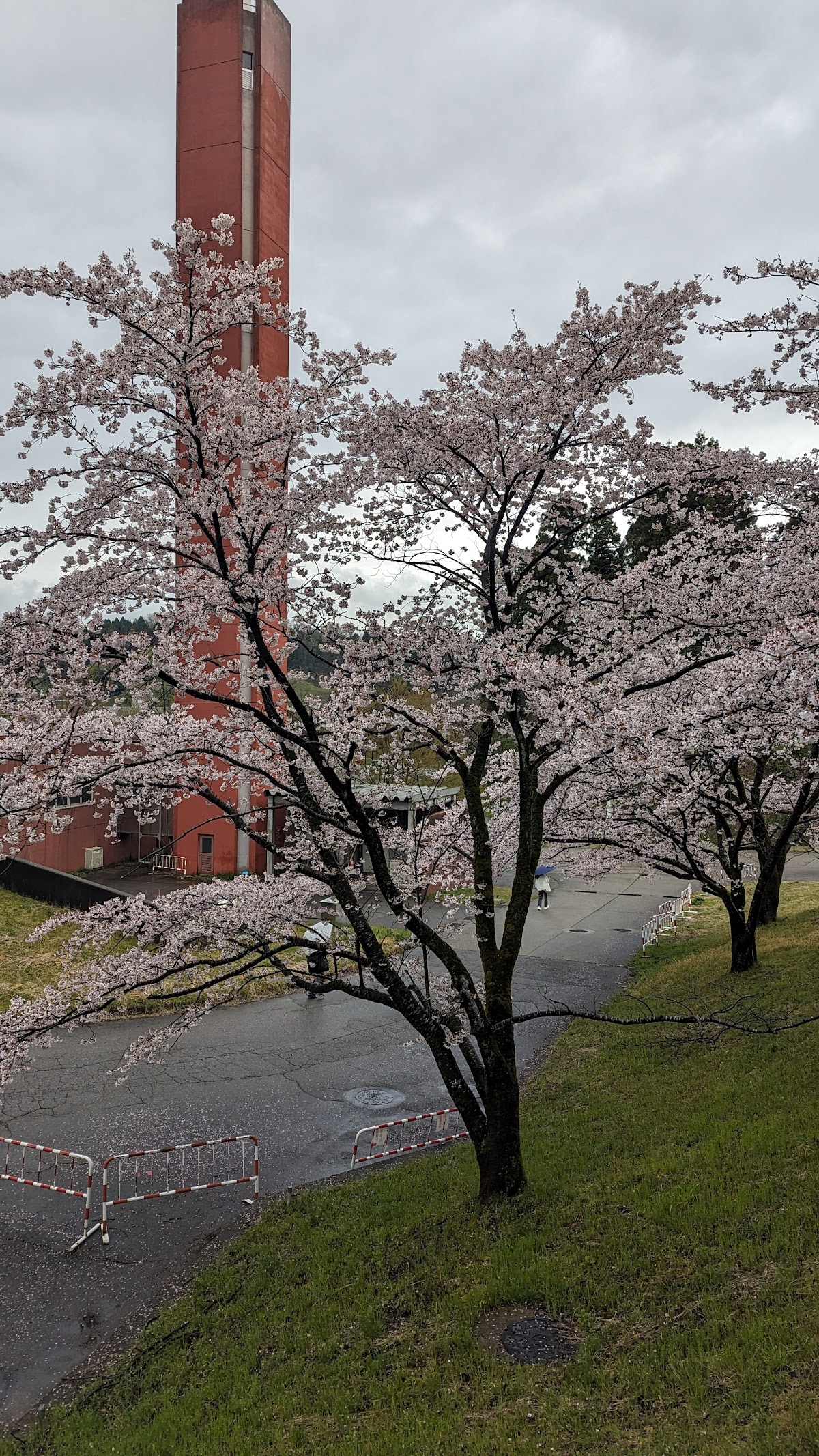 Kanazawa University photo 9