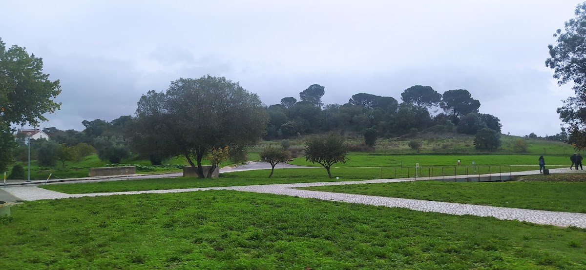 Instituto Politécnico de Tomar photo 1