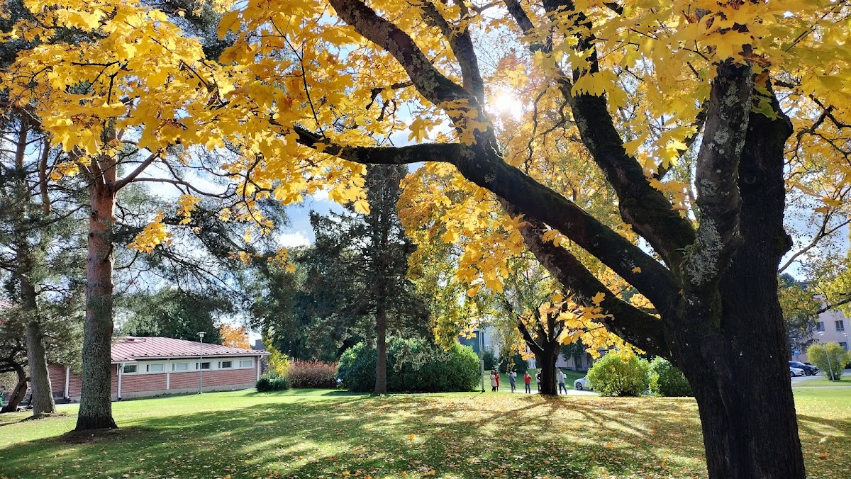 Häme University of Applied Sciences (HAMK) photo 2