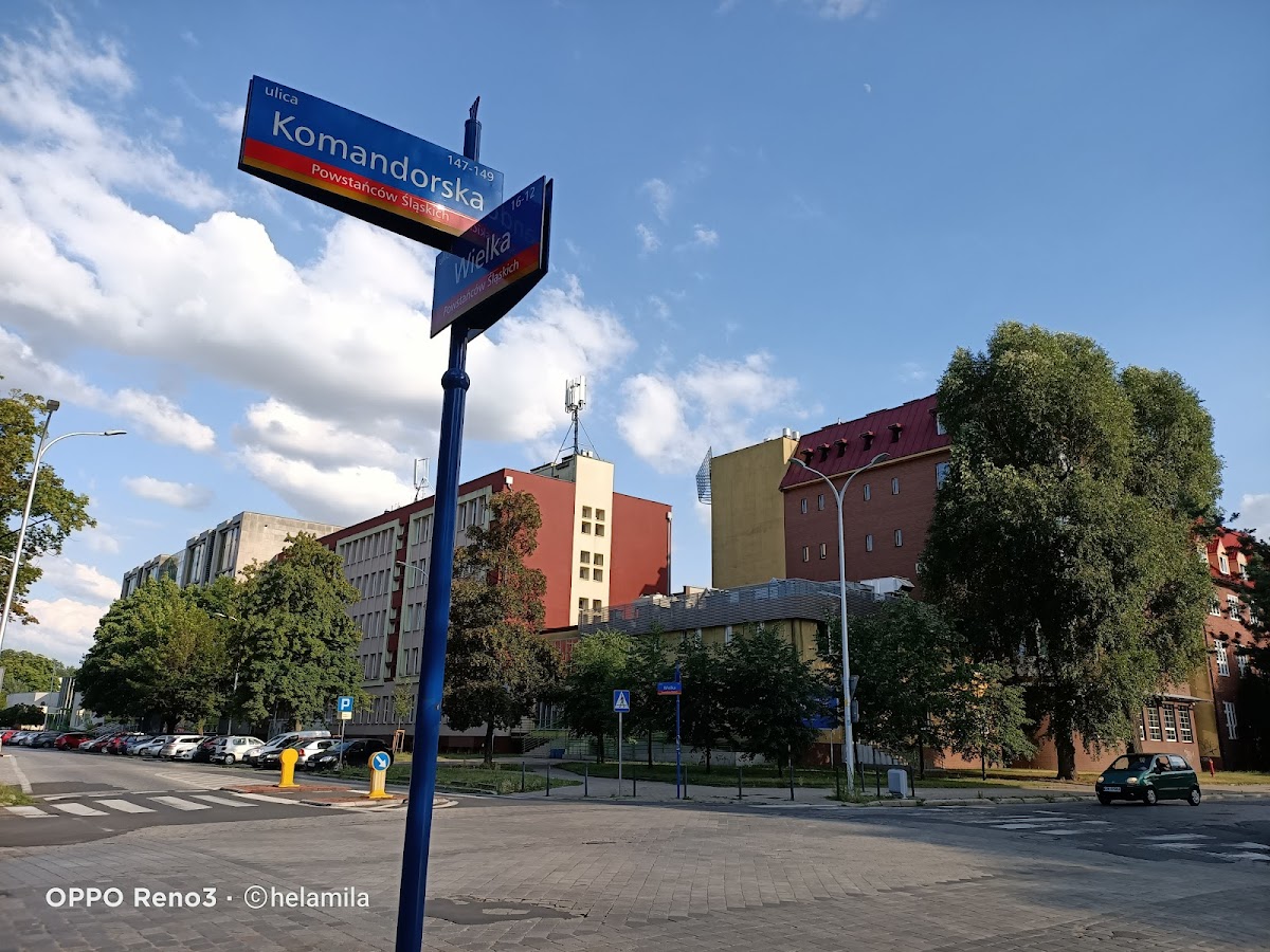 Wroclaw University of Economics and Business photo 6