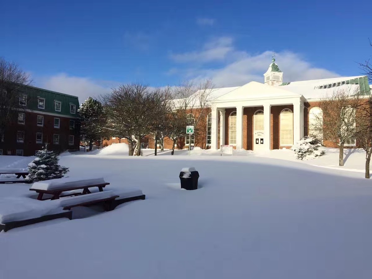 Memorial University photo 3