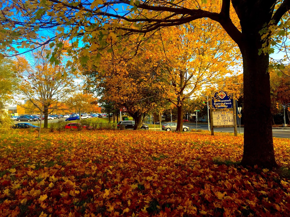 Memorial University photo 7