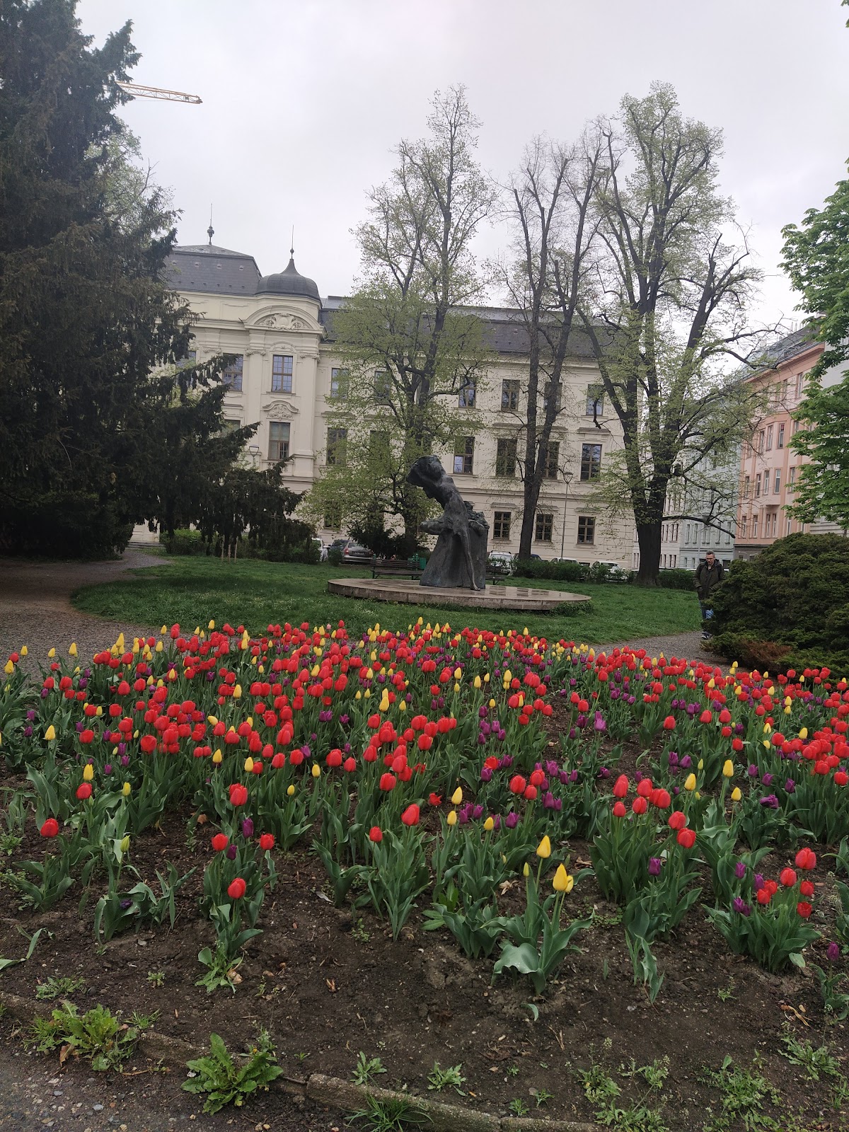 Central European Institute of Technology photo 7