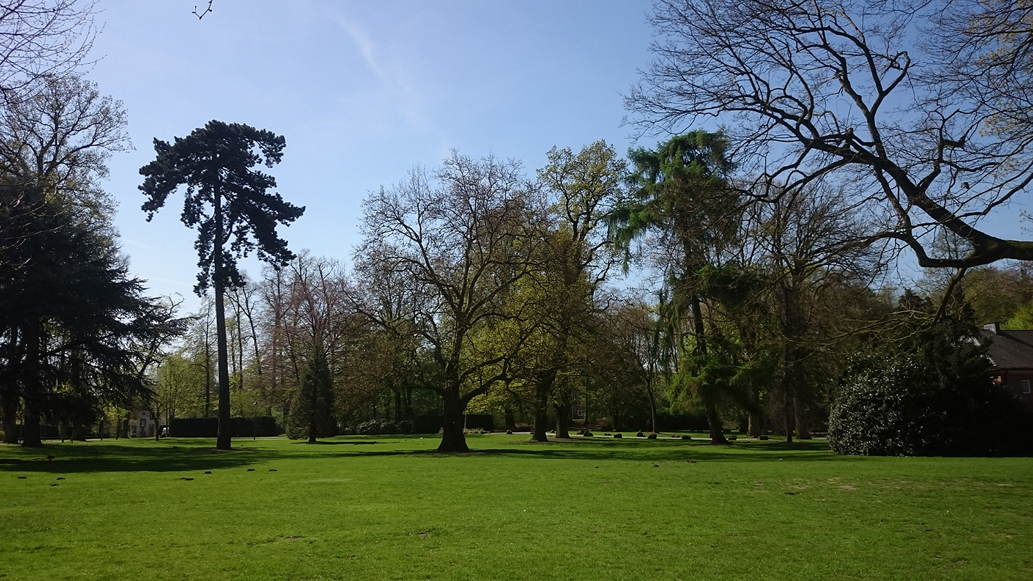 University of Münster