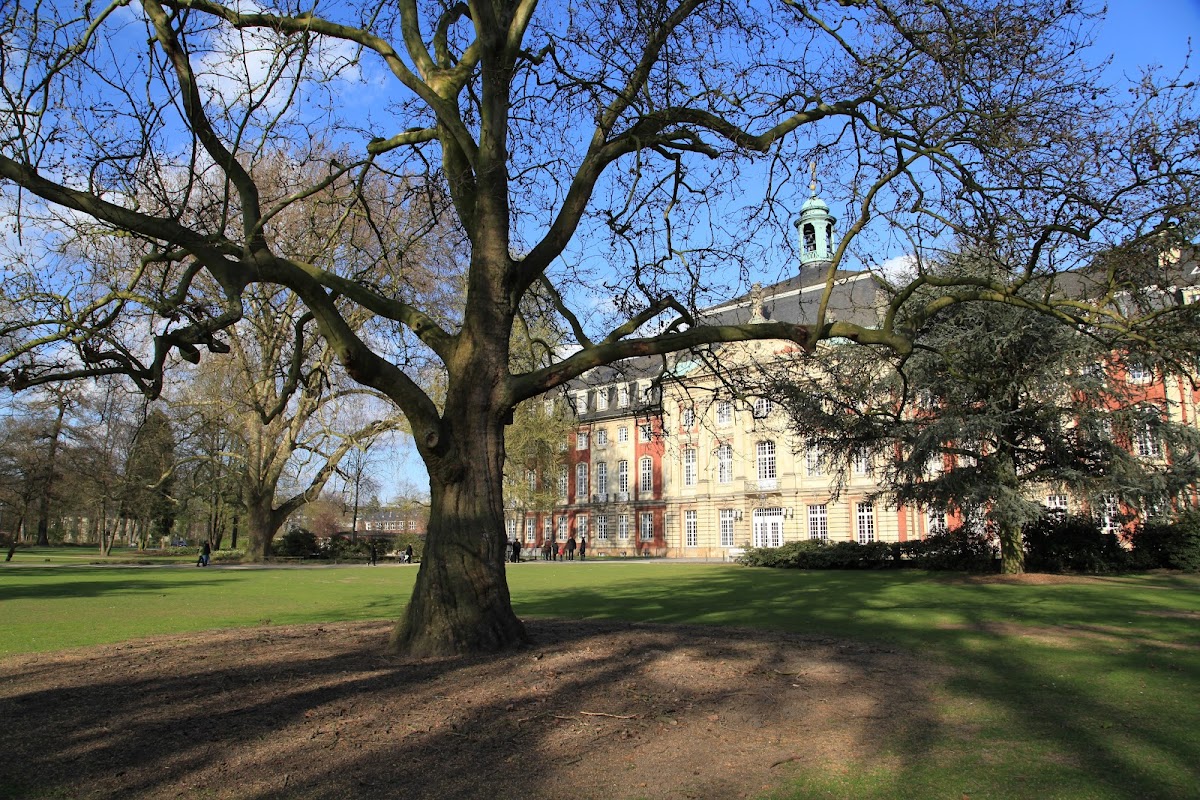 University of Münster photo 2