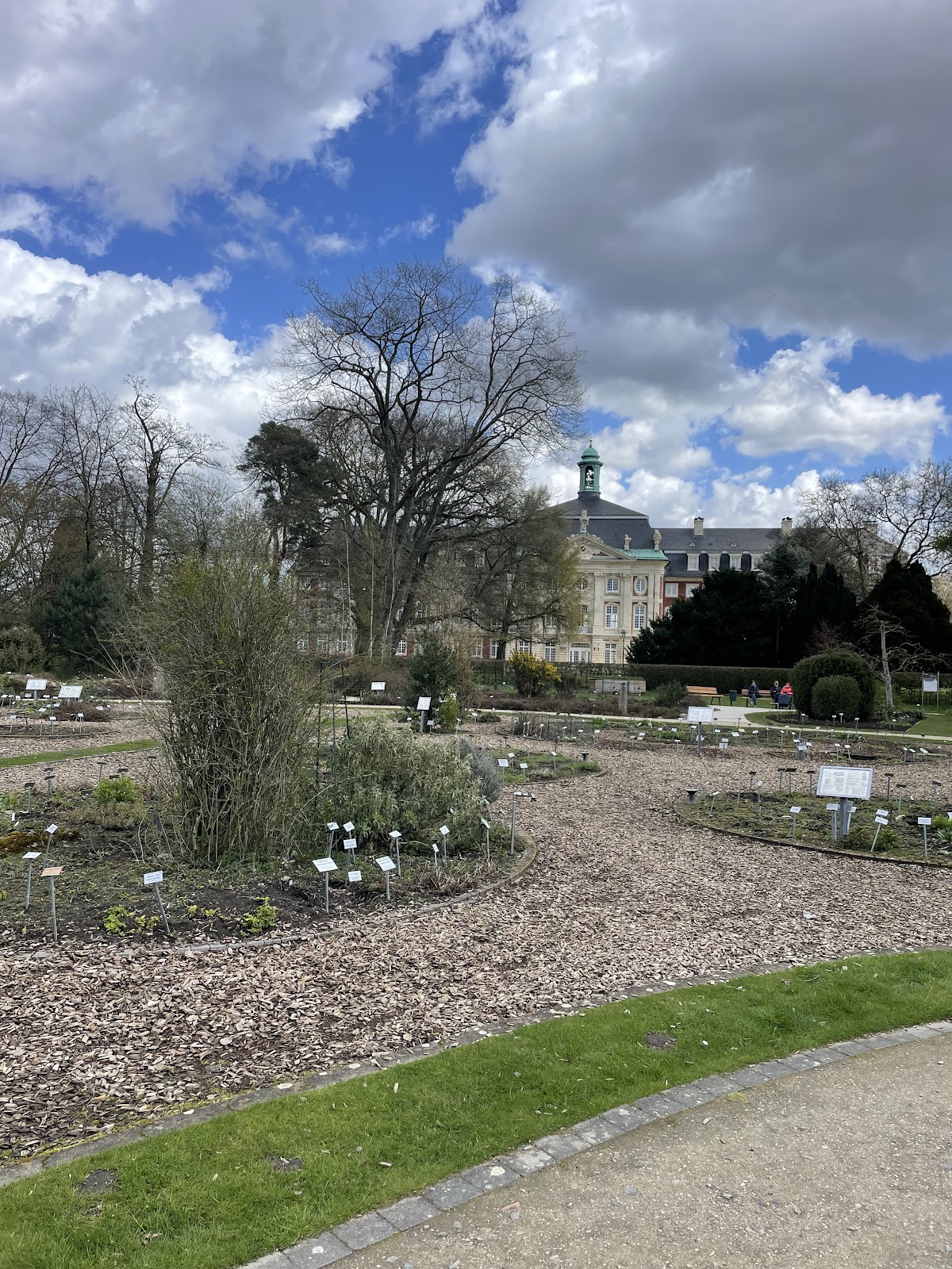 University of Münster photo 8