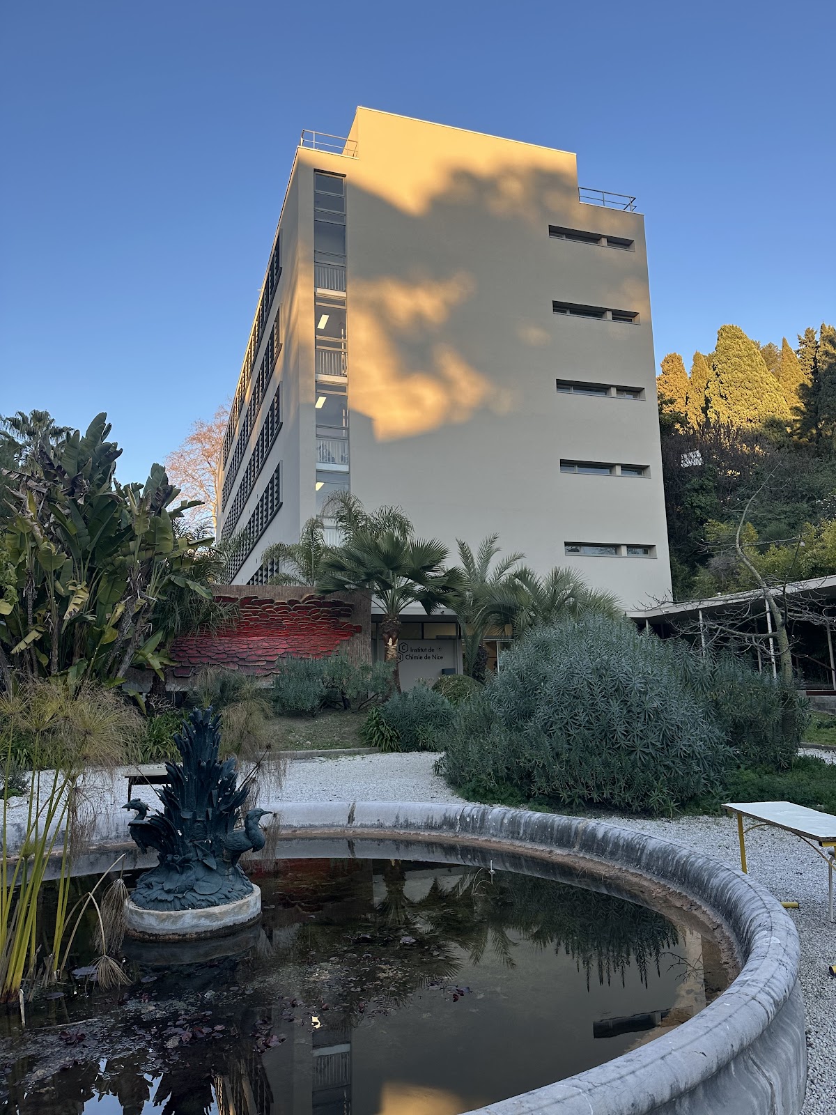 Université de Nice Sophia Antipolis photo 9