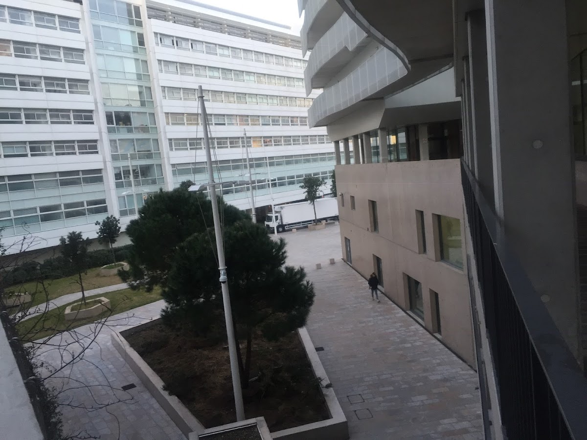 University of Toulon photo 7