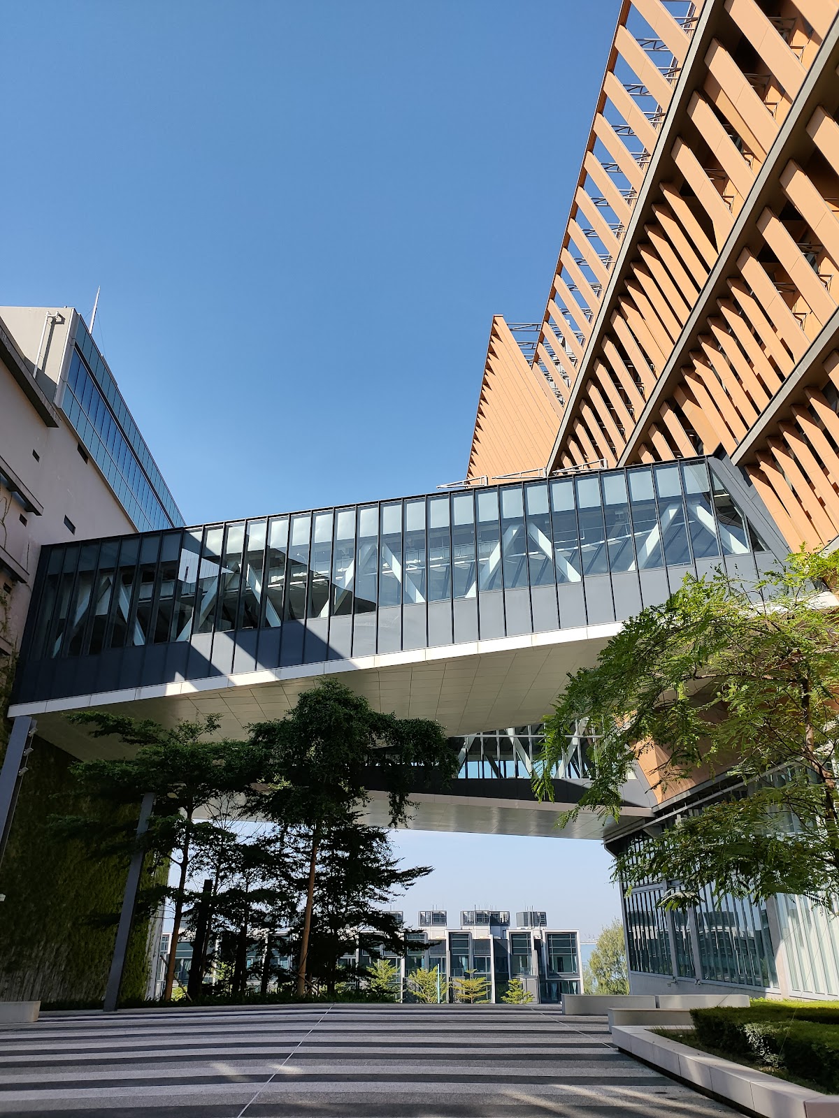 Chu Hai College of Higher Education photo 9