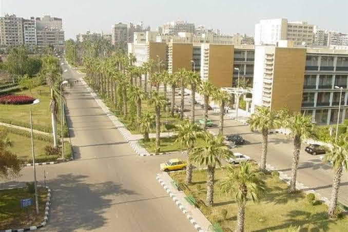Mansoura University photo 3
