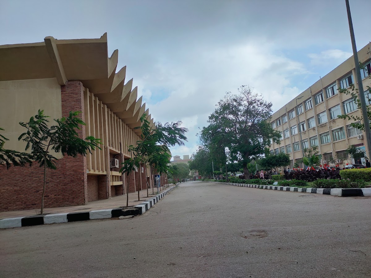 Mansoura University photo 6