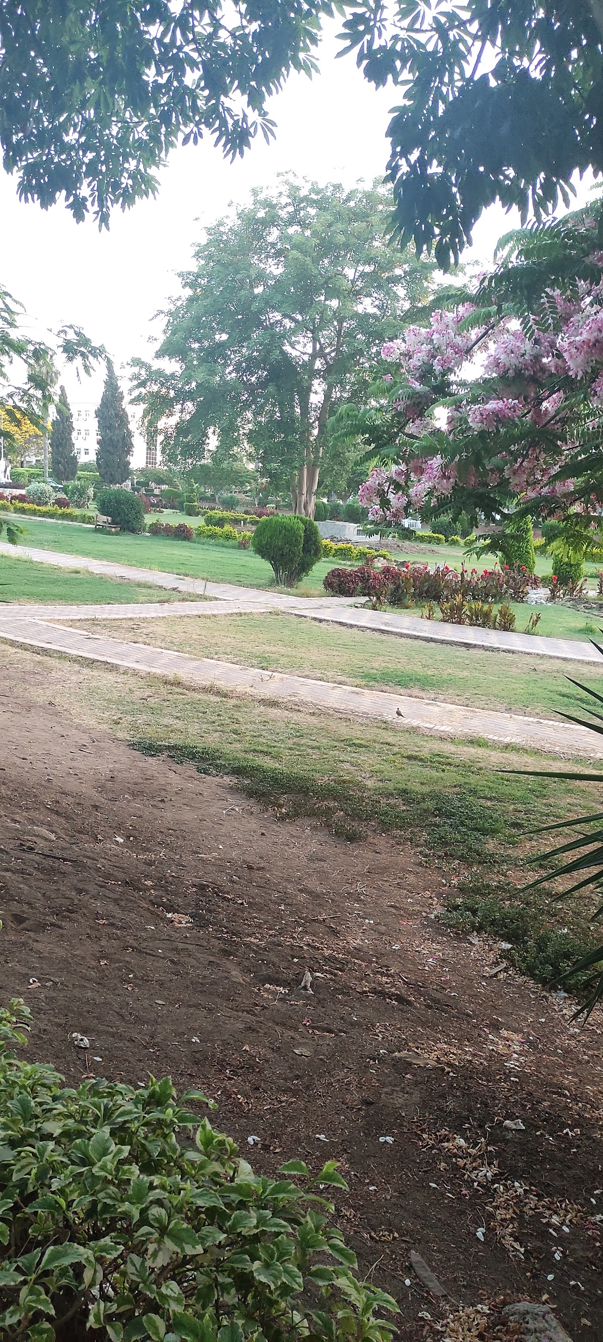 Mansoura University photo 9