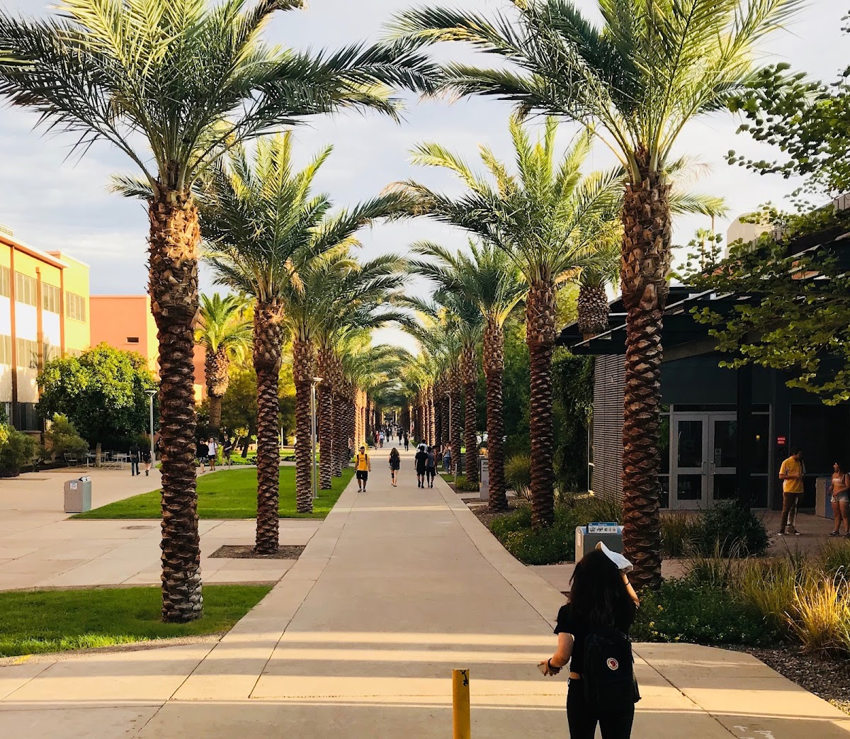 Arizona State University photo 6