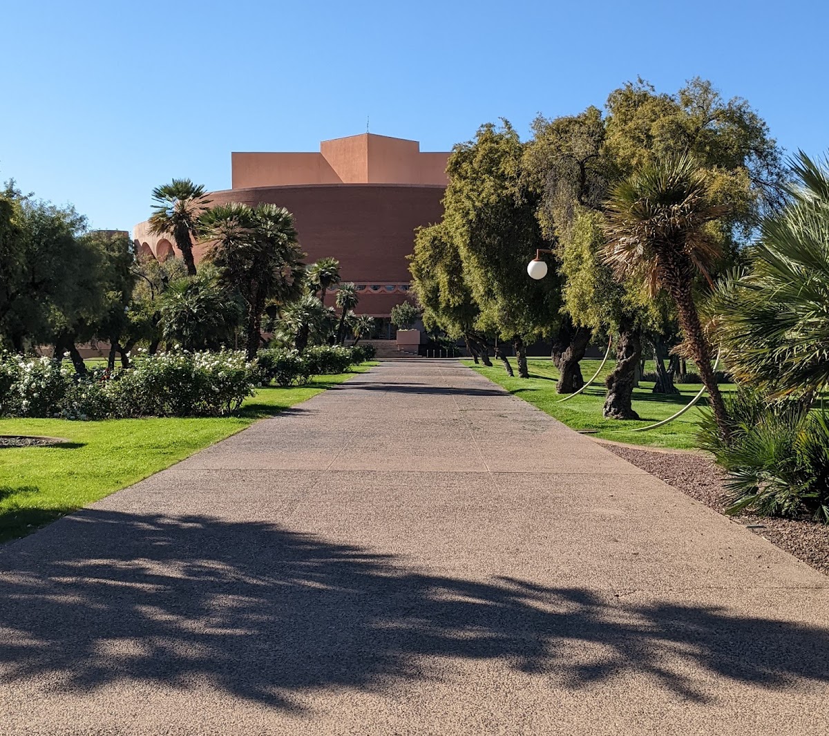 Arizona State University photo 7