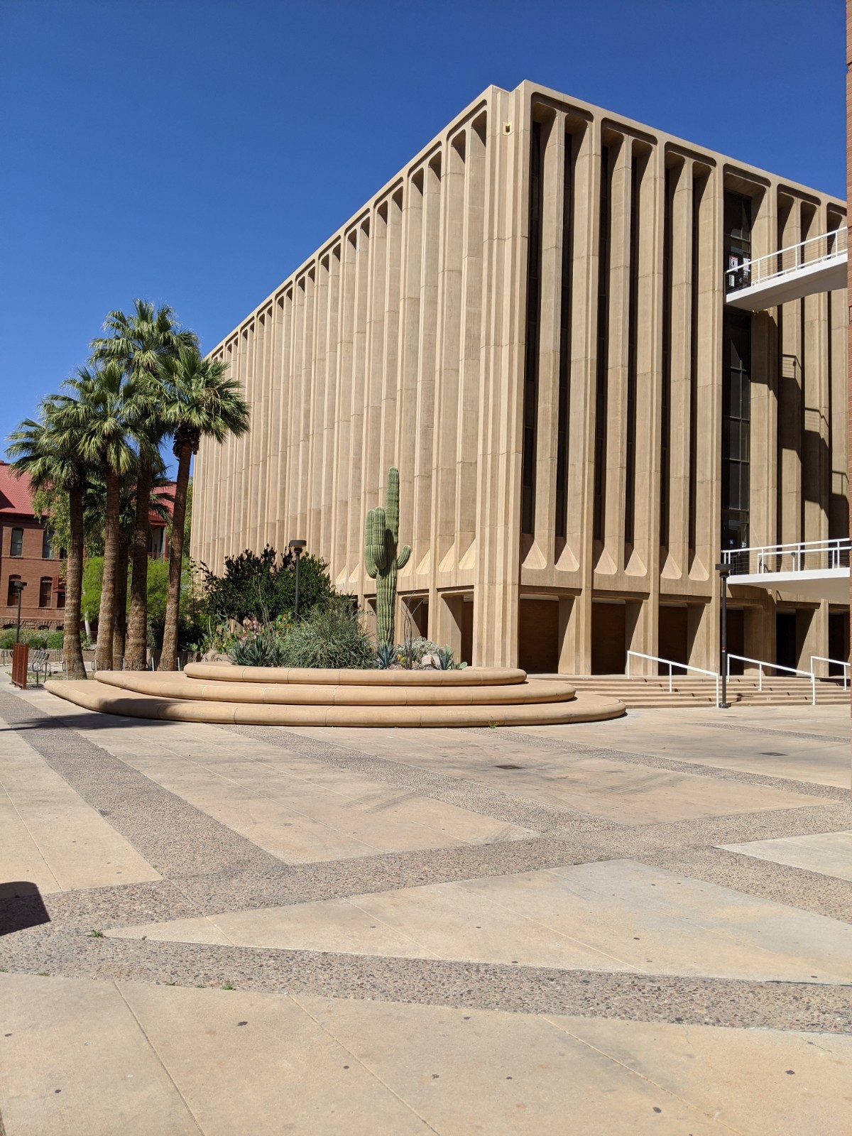 Arizona State University photo 9