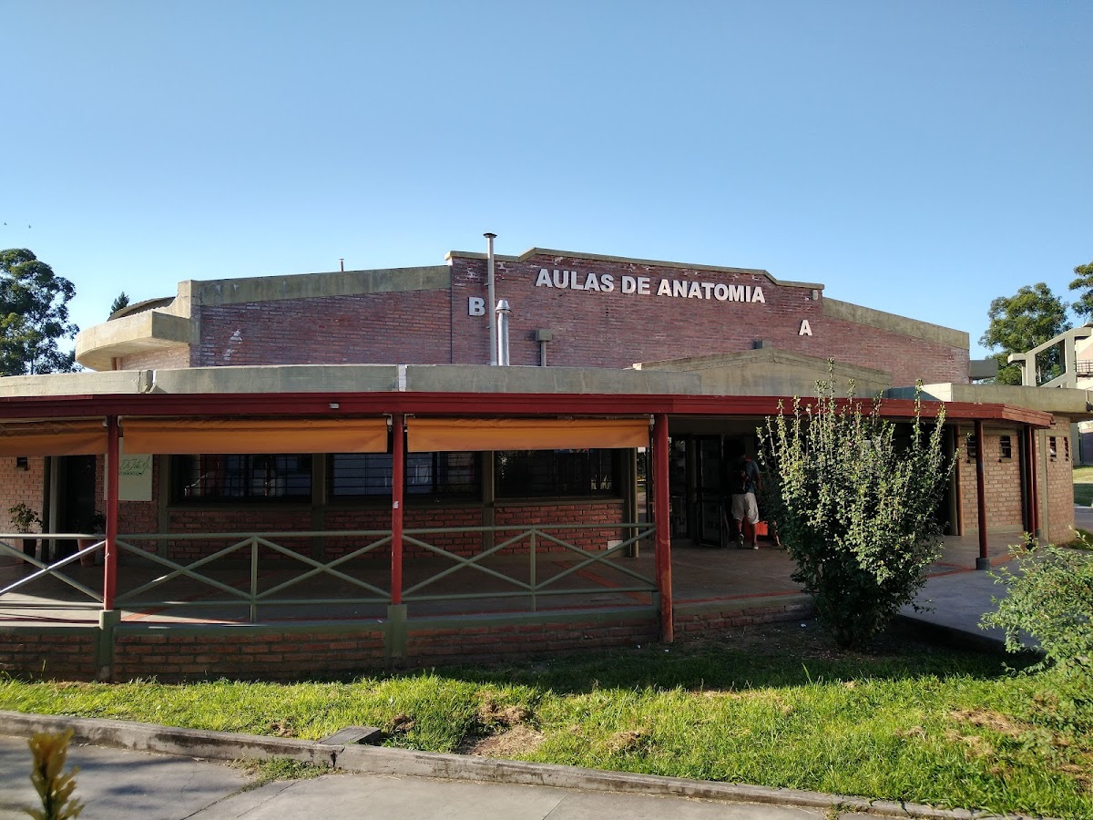 National University of Salta photo 6