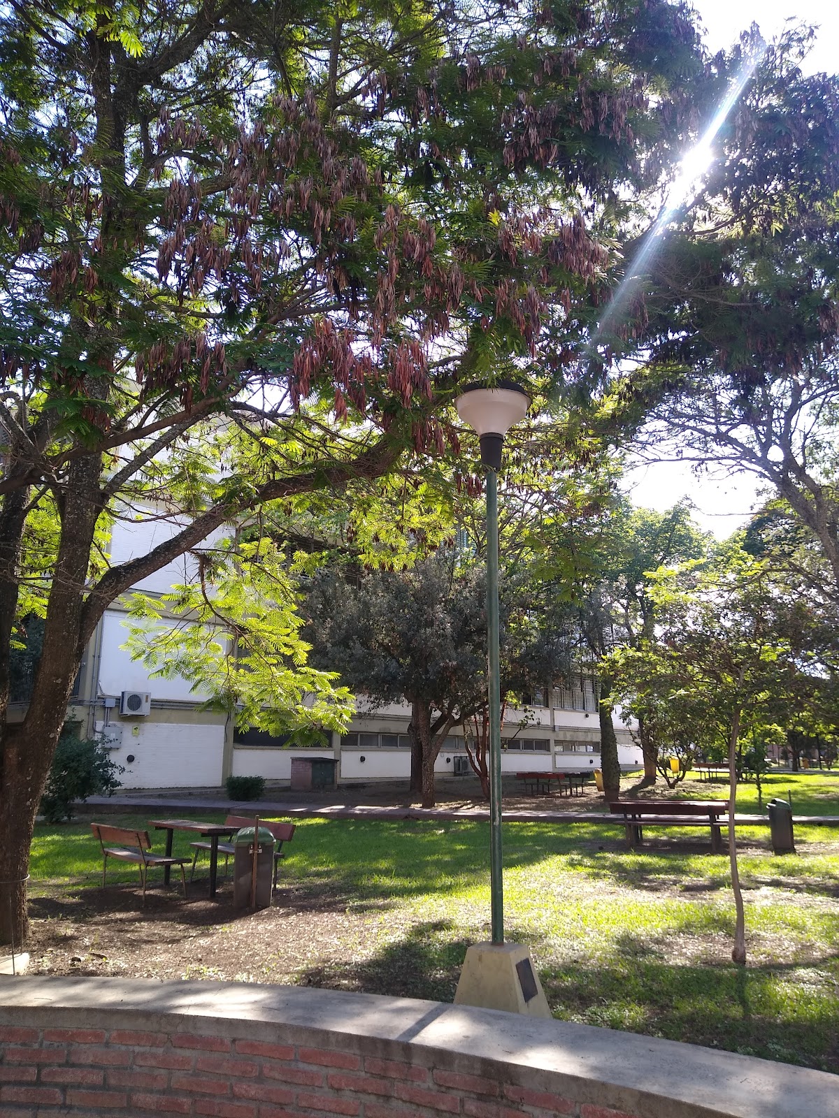 National University of Salta photo 8