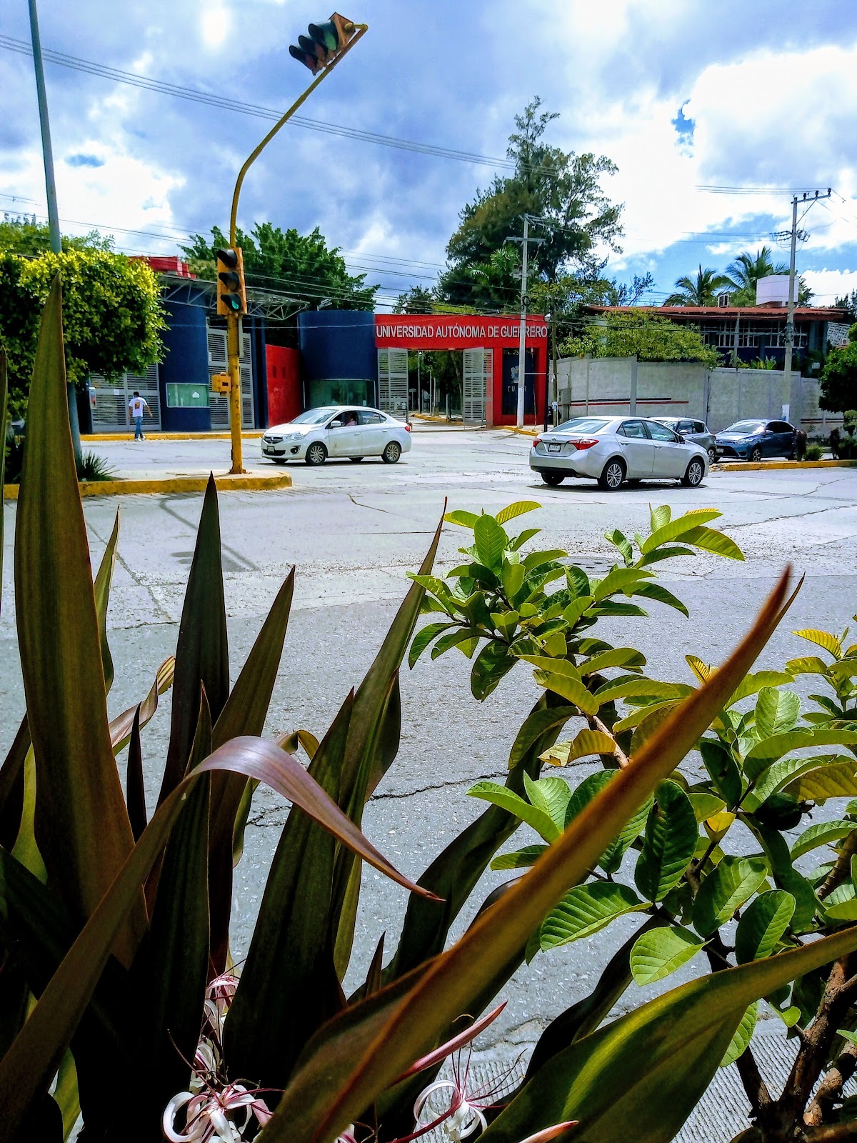 Autonomous University of Guerrero photo 9