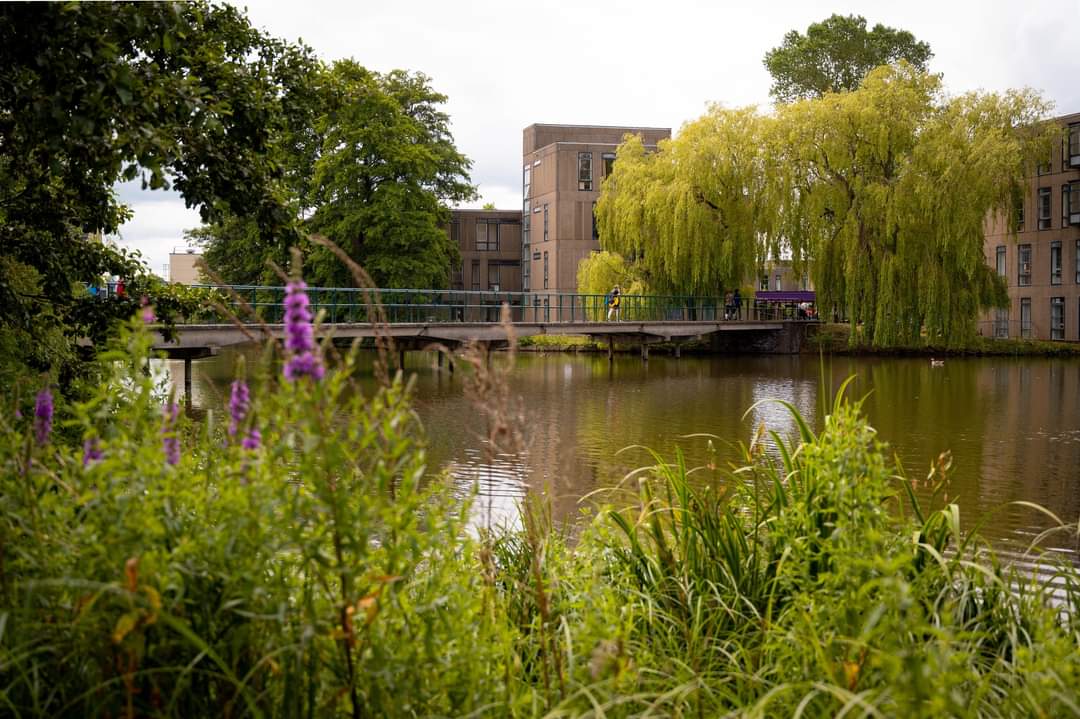 University of York photo 2