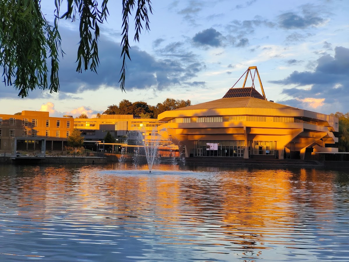 University of York photo 4