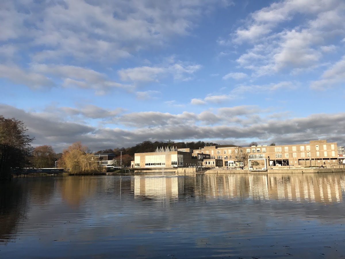 University of York photo 8