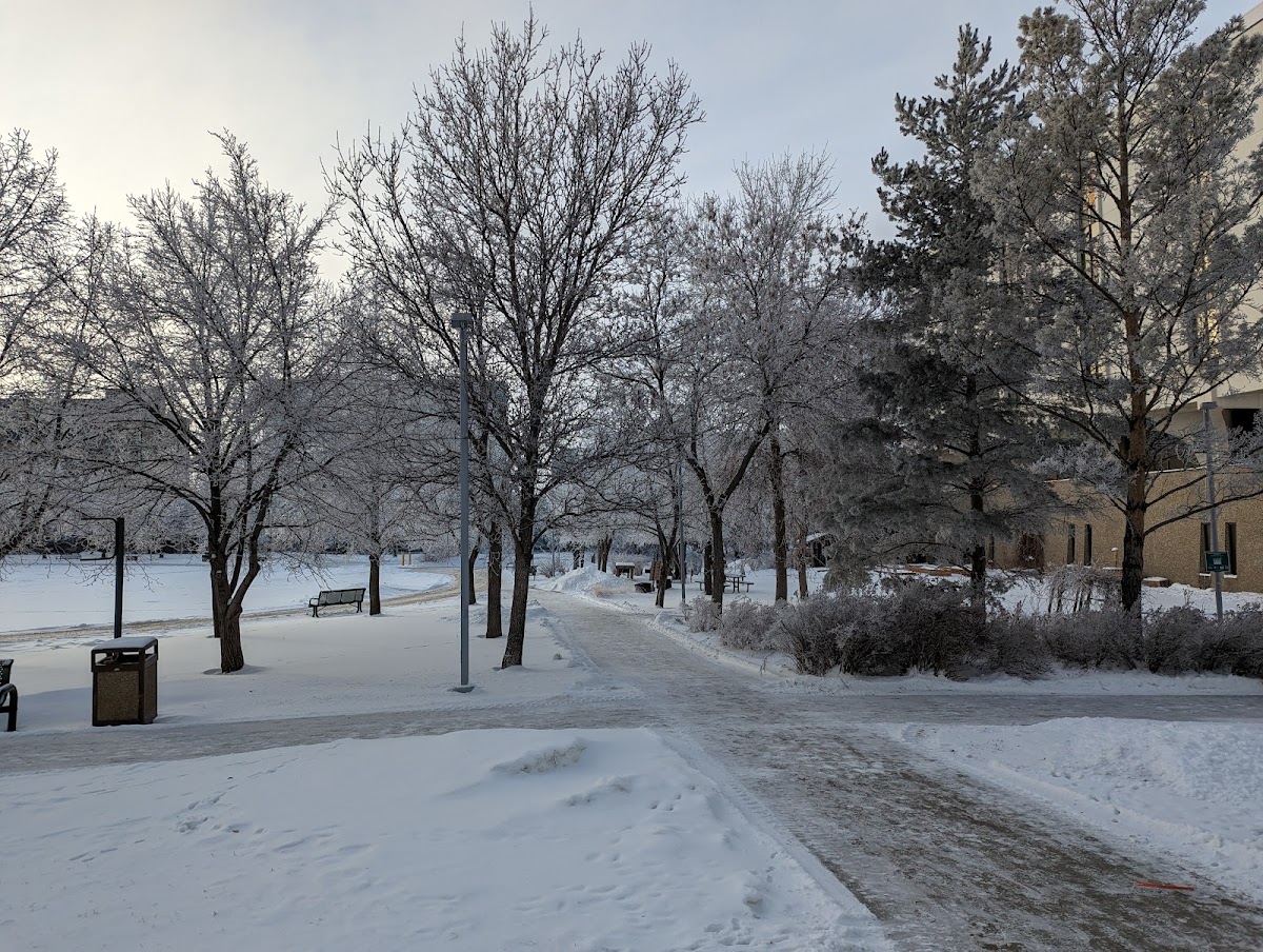University of Regina photo 7
