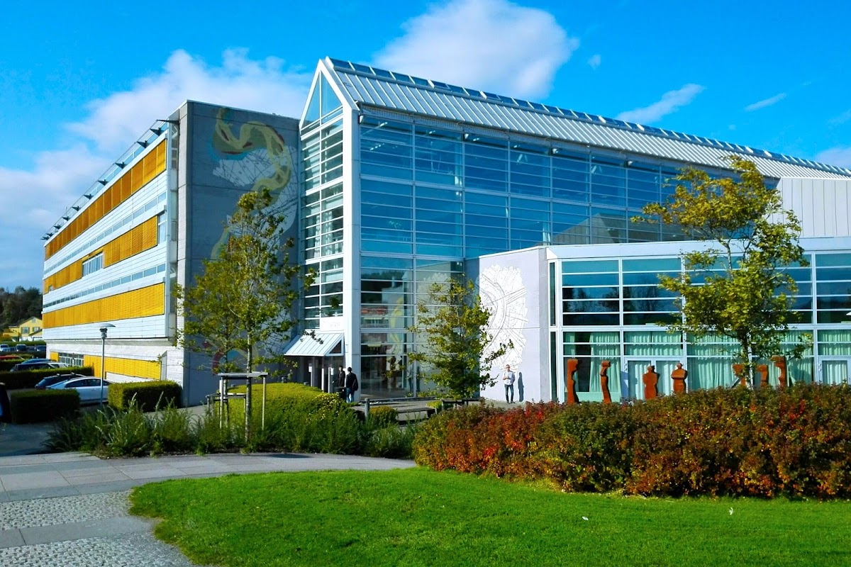 University of Stavanger photo 2