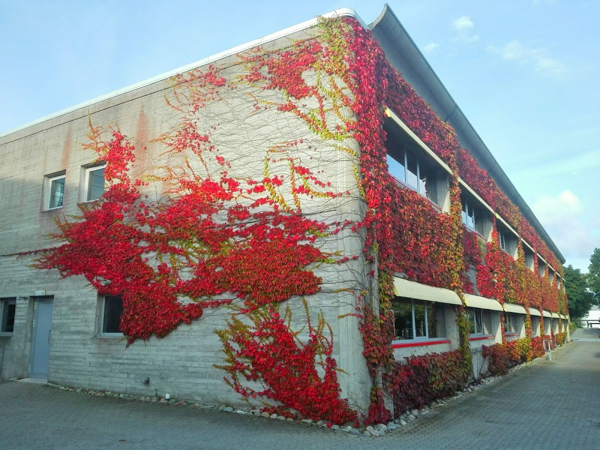 University of Stavanger photo 4