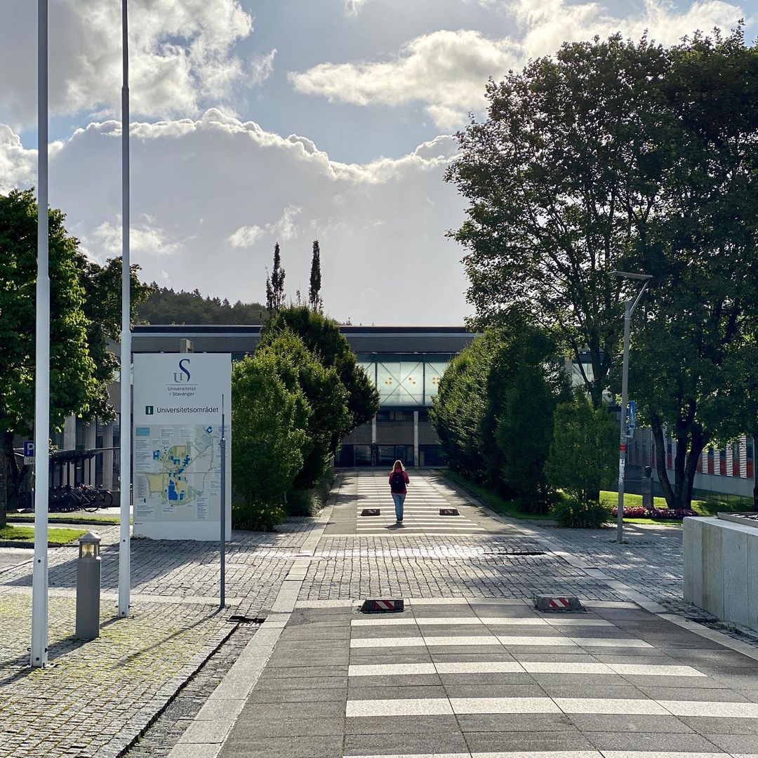 University of Stavanger photo 8