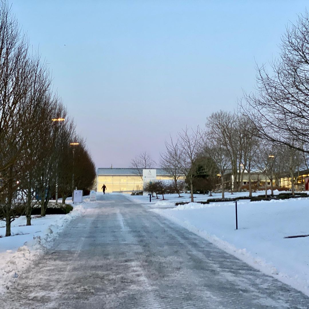 University of Stavanger photo 9