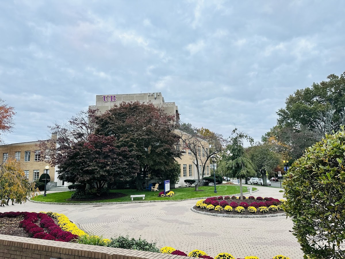 University of Bridgeport photo 6
