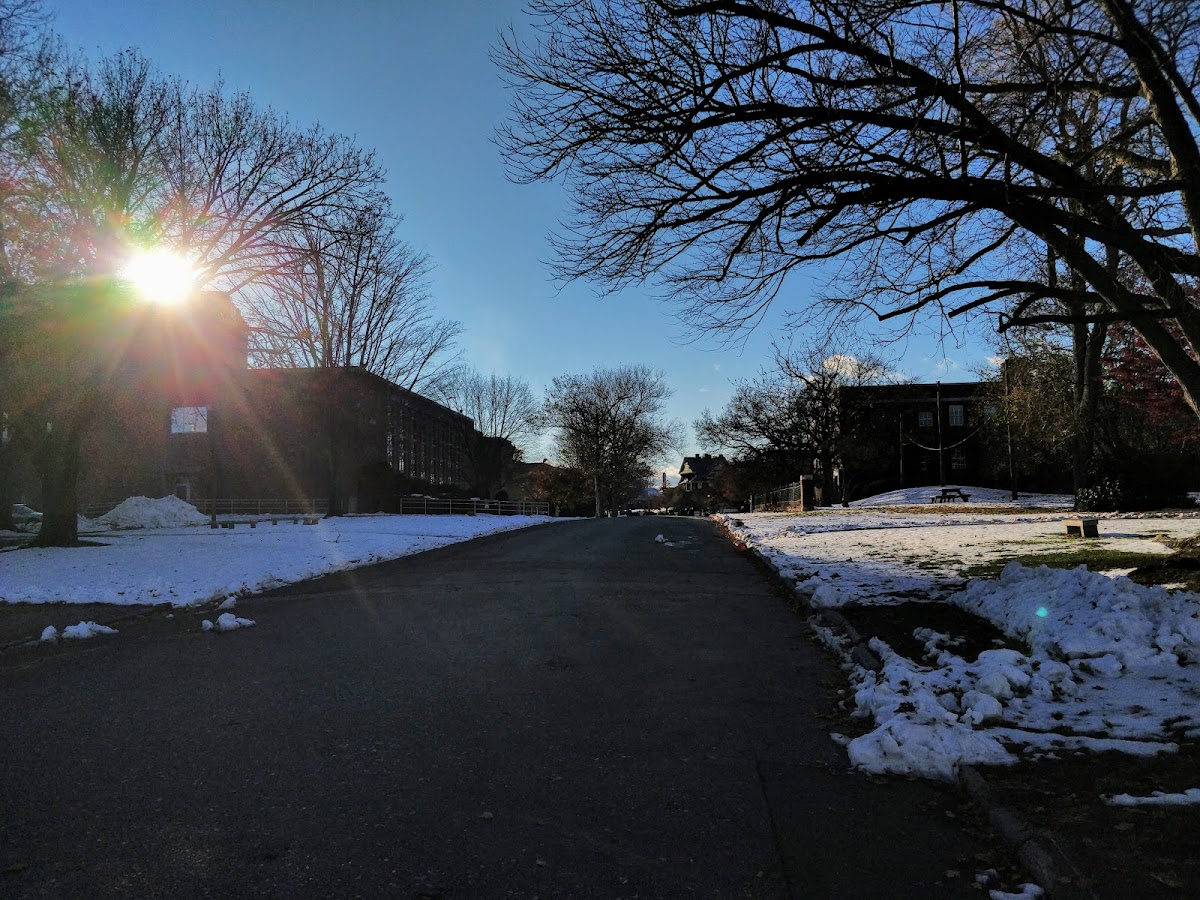 University of Bridgeport photo 7