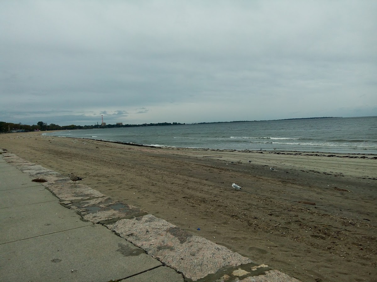 University of Bridgeport photo 9