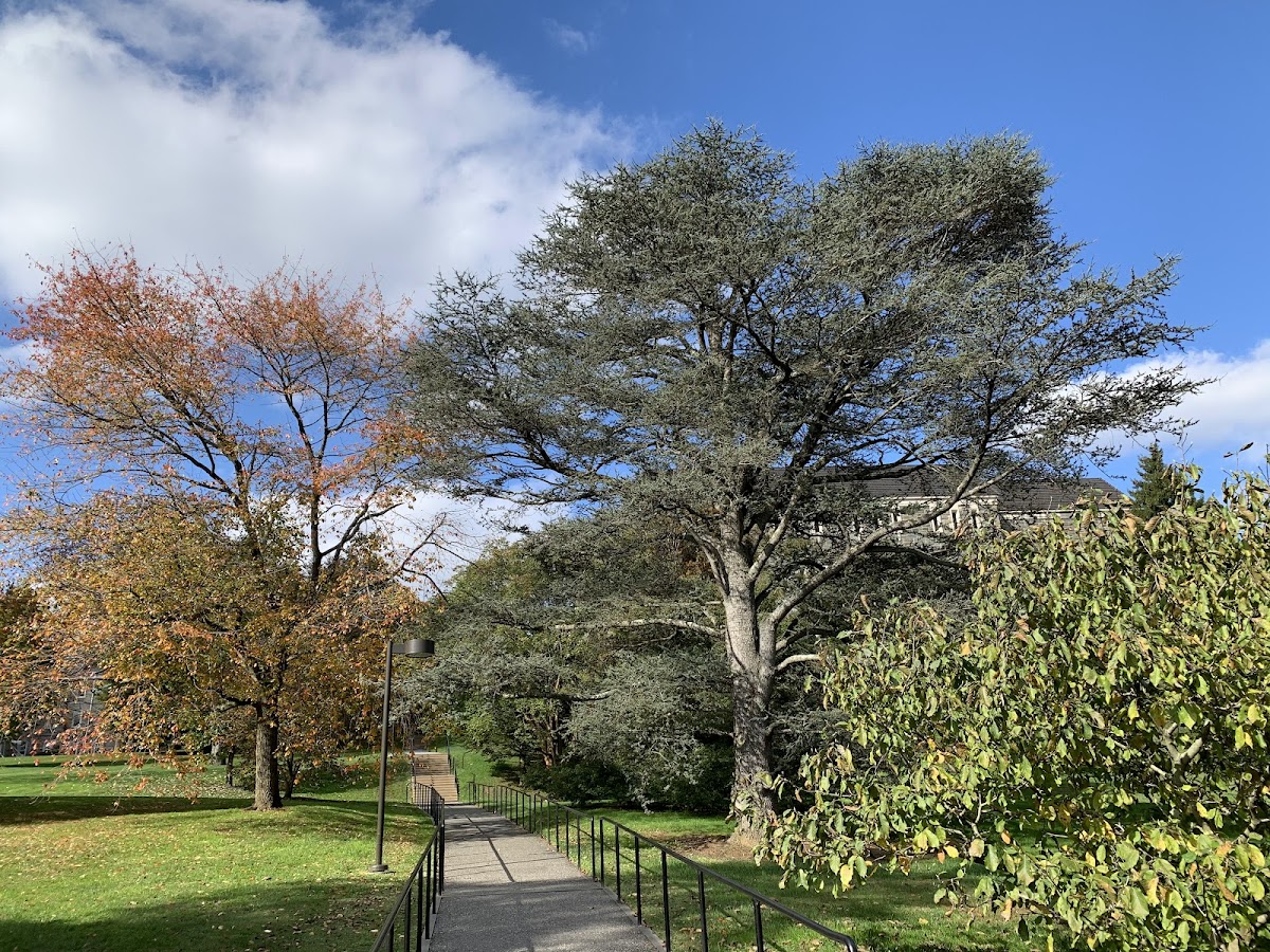 Swarthmore College photo 2