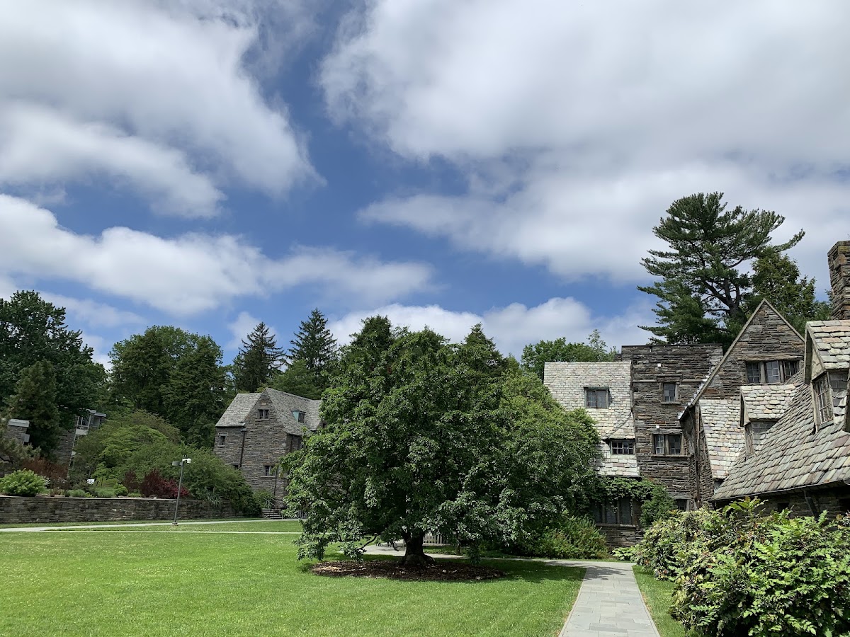 Swarthmore College photo 7