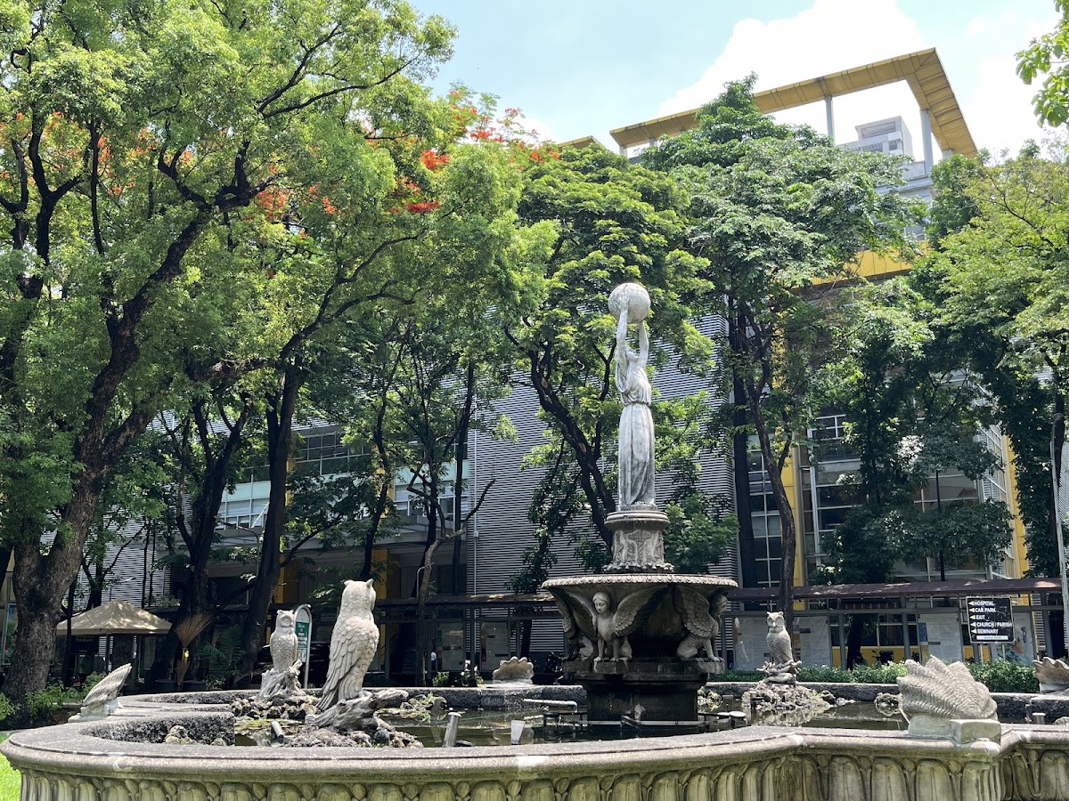 University of Santo Tomas photo 5