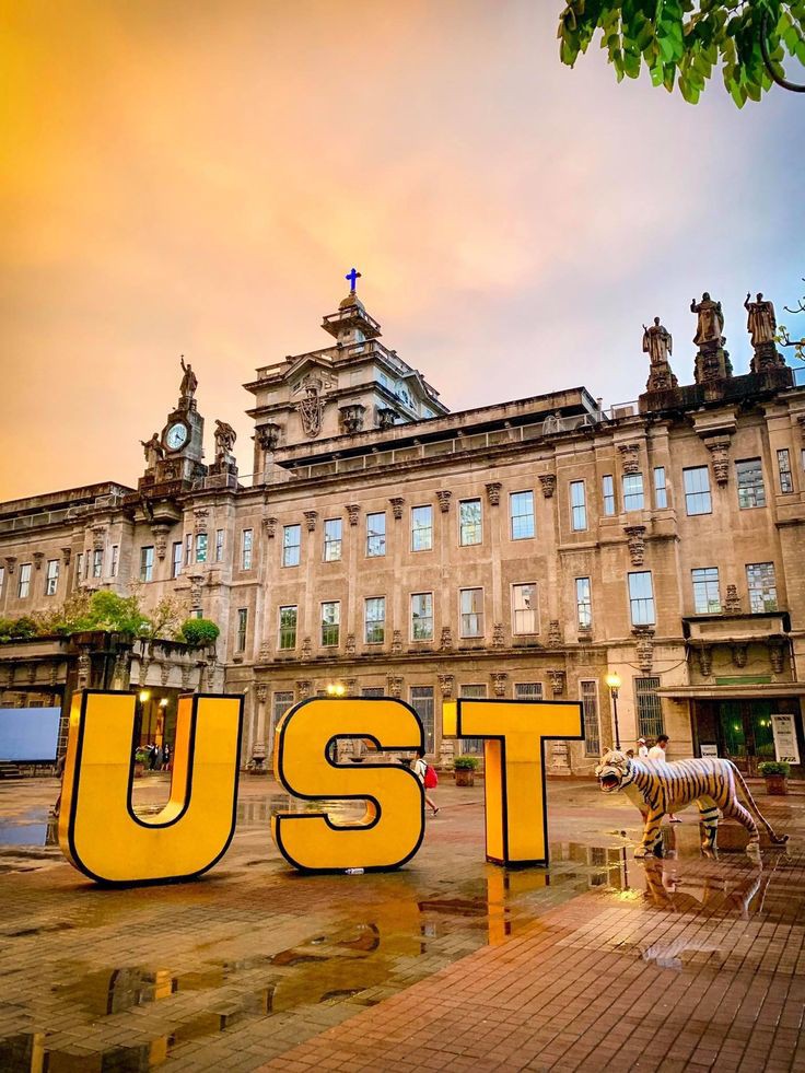 University of Santo Tomas photo 9