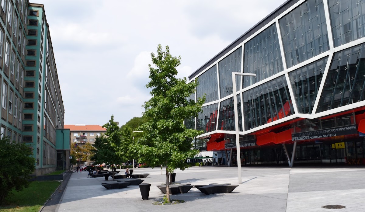 College of Management in Bratislava photo 2