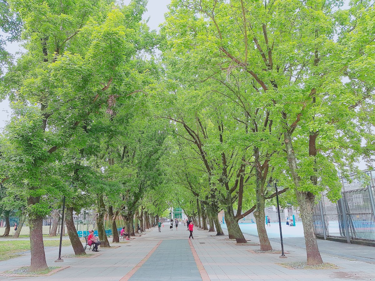 Taipei Medical University photo 4