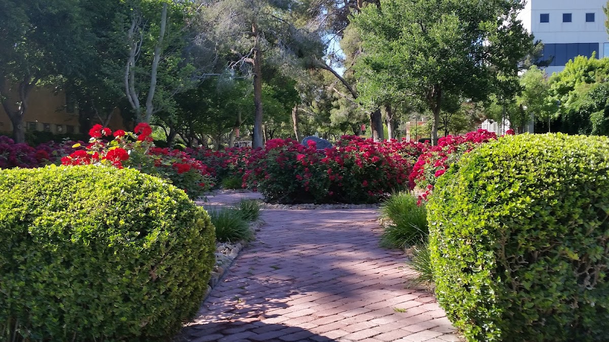 University of Nevada Las Vegas photo 1