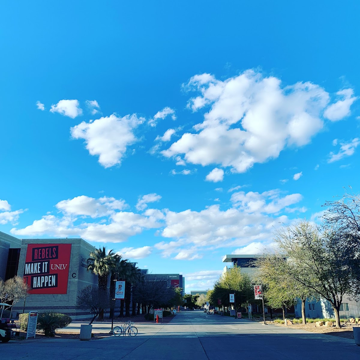 University of Nevada Las Vegas photo 9