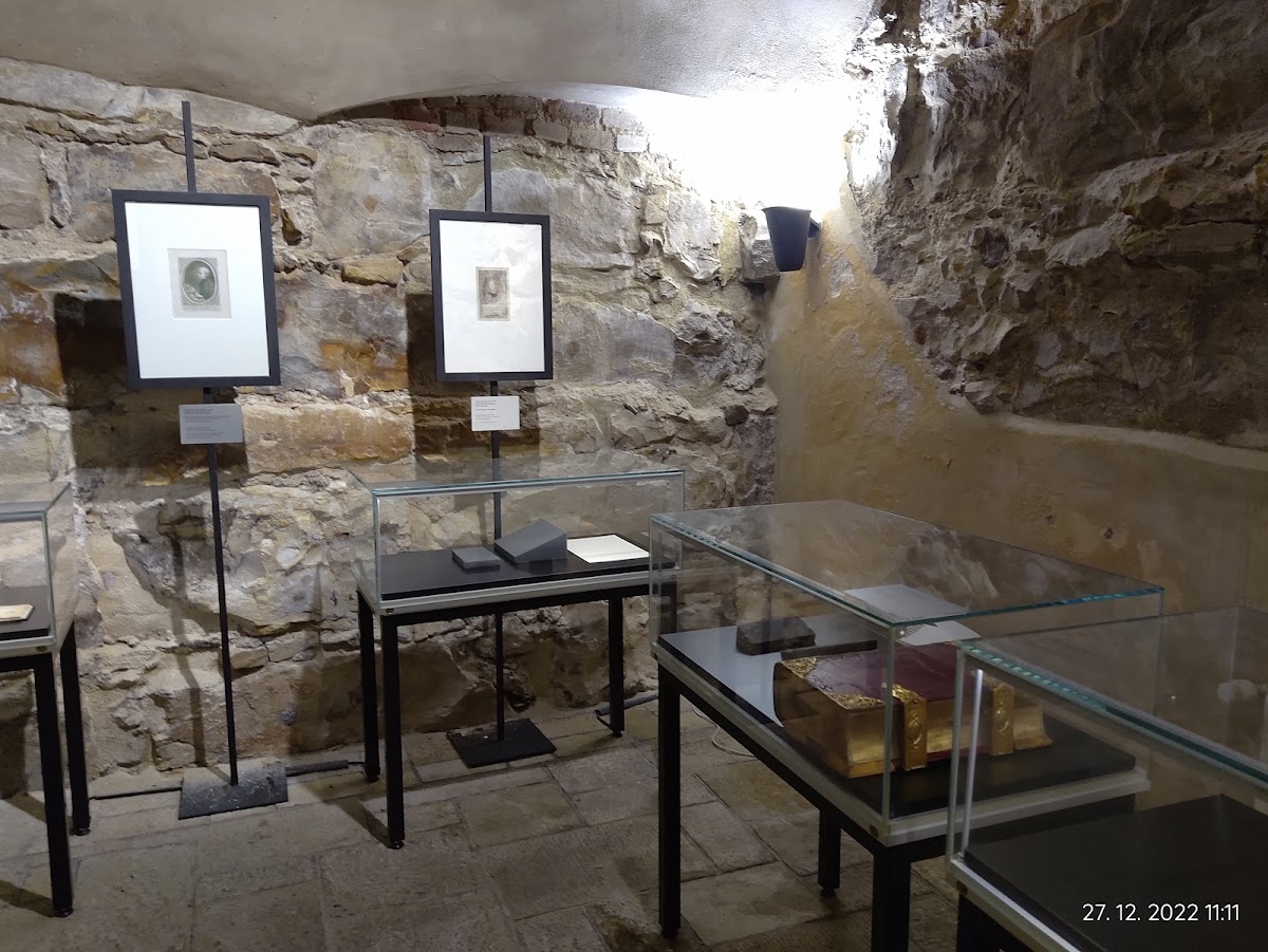 Prague College photo 5