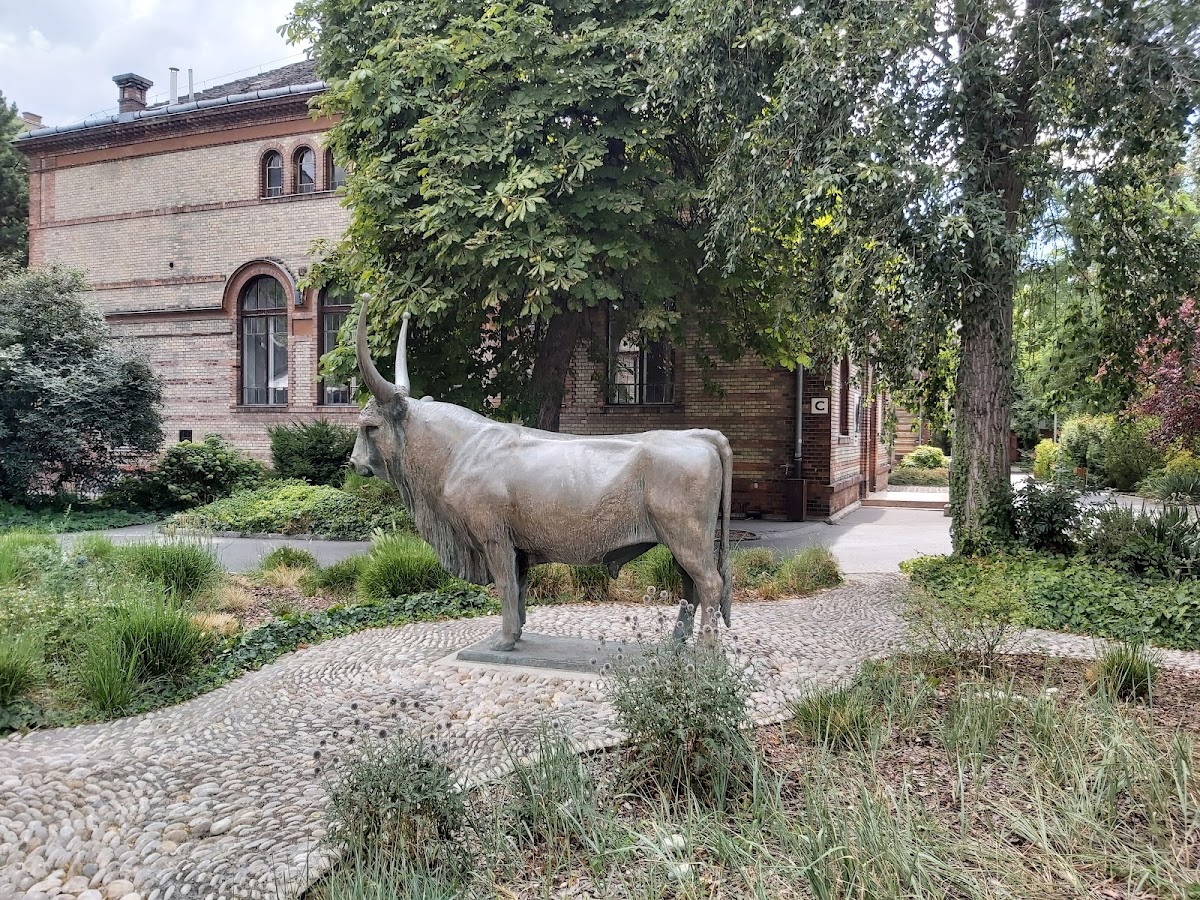 University of Veterinary Medicine Budapest photo 1
