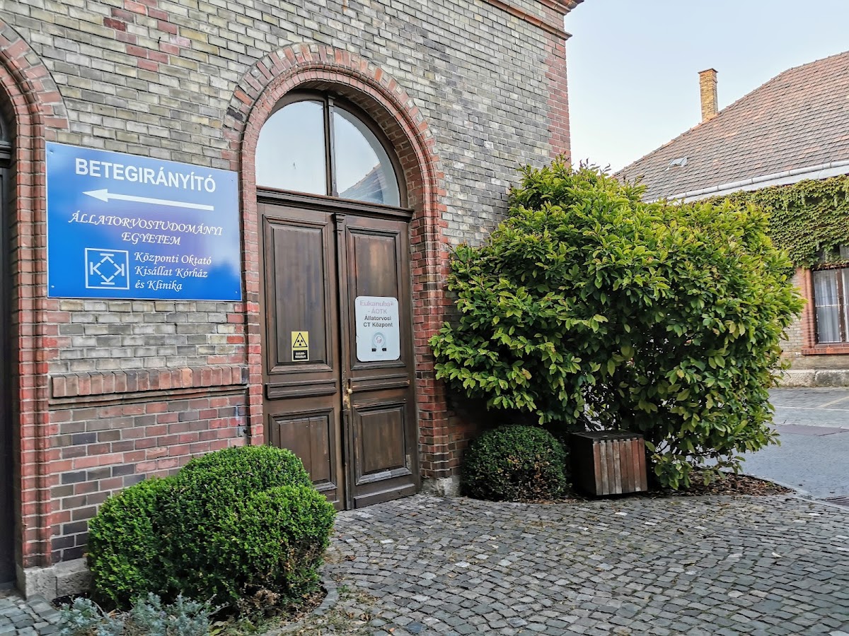 University of Veterinary Medicine Budapest photo 4