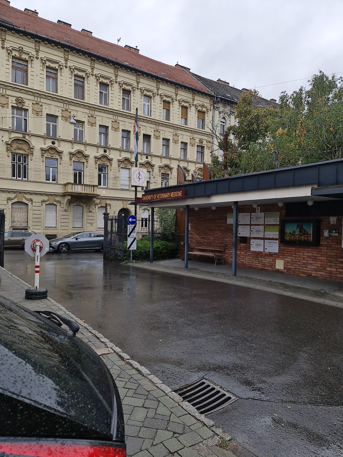 University of Veterinary Medicine Budapest photo 7
