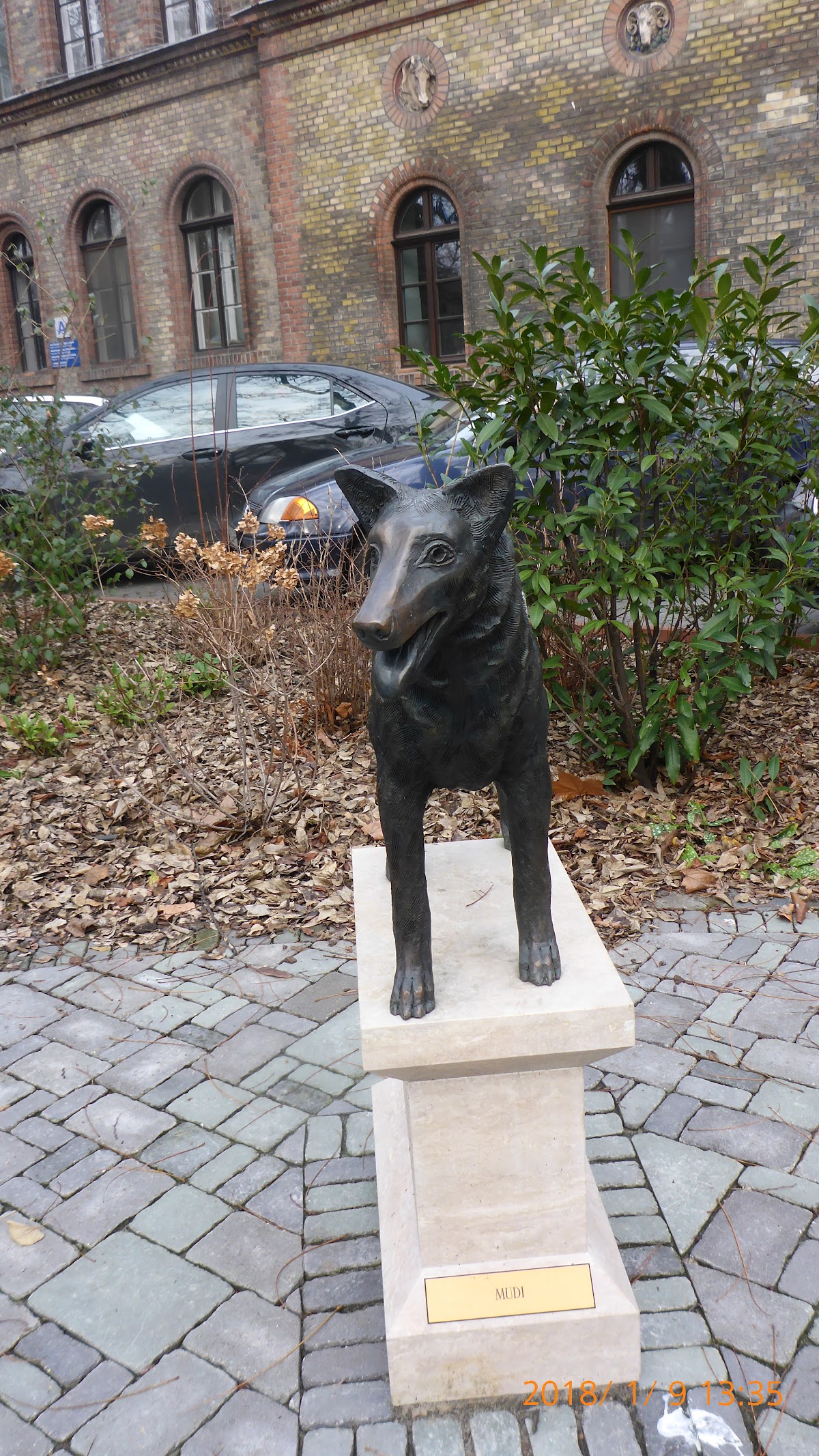 University of Veterinary Medicine Budapest photo 9